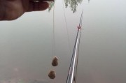 钓鱼新手选择（探讨初学者选择钓鱼方式的优劣势）