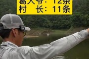 以野河钓鱼路亚还是手竿好？（探讨在野河中，选择钓鱼路亚还是手竿更有效？）