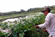 如何选择最佳路亚钓鱼抢钓位（提高钓鱼成功率的关键技巧及策略）