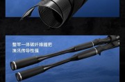 选择适合海边钓鱼的路亚竿，为“海边钓鱼路亚竿选择”（探索海边钓鱼的乐趣，打造完美的钓鱼装备）