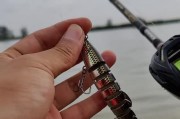 急流河中的路亚钓鱼技巧（以路亚竿在急流河中钓鱼，让你变身钓鱼高手！）