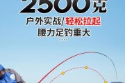 矶竿海钓与路亚钓鱼的区别（探索不同钓鱼方式的魅力与技巧）