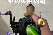 晚上钓鱼的最佳路亚饵选择（探究适合夜间钓鱼的路亚饵类型及技巧）