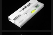 钓鱼新手必备（提升钓鱼技巧，轻松捕获丰富的鱼类资源）