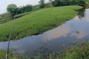探索路亚鱼塘，享受钓鱼乐趣（钓鱼达人亲授技巧，路亚鱼塘为你打开新世界的大门）