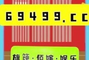 2006世界杯全进球榜（全球焦点聚集在场上，巨星们倾尽全力为国争光）