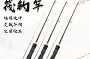 小孩使用路亚杆钓鱼的乐趣与挑战（让孩子体验钓鱼乐趣，培养耐心和专注力）