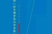 挂铃铛钓鱼信号的准确性探究（通过路亚技巧提高钓鱼信号的准确度）