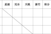 乒乓球几星分类及特点解析（探寻乒乓球几星级别的不同水平与技巧要求）