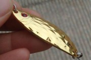 探讨以路亚钓鱼的钩的数量选择（路亚钓鱼中钩的种类与数量如何搭配）