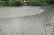 下雨后的路亚钓鱼乐趣（探索雨后路亚钓鱼的奥秘，让你收获满满）