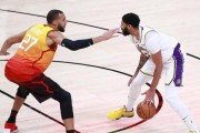 NBA戴维斯工资排行榜（揭秘NBA现役球员戴维斯的巨额薪水，以及他的收入来源。）