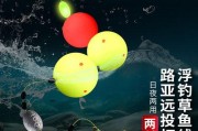 路亚钓鱼绑子线和钩子的选用与技巧（提升钓鱼技术，选择合适的绑子线和钩子）