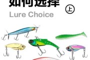 码头钓鱼的最佳路亚饵选择（提升钓鱼成功率的关键武器）