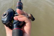 解决路亚竿钓鱼不到的问题（提高钓鱼技巧，增加钓鱼成功率）
