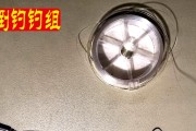 探索路亚PC线钓鱼的大小通杀线组技巧（钓鱼达人分享路亚PC线的线组搭配及技巧，助你捕获各种大小鱼类）