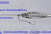 夏日路亚钓鱼技巧大全（掌握这些技巧，让你在夏天路亚钓鱼多多！）