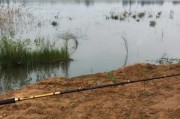 淡水水域路亚竿（探索淡水鱼类乐趣，路亚竿成为钓友们的首选装备）