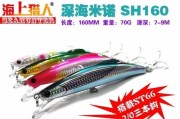 早上路亚钓鱼的最佳饵料选择（挑选适合清晨垂钓的饵料，让你钓到丰收）