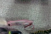 水中玩路亚钓鱼的最佳饵料选择（探索适合在水中玩路亚钓鱼的不同类型饵料）