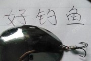 钓鱼新体验（突破传统，探索新方式，享受真正的钓鱼乐趣）
