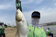 东荆河路亚钓鱼攻略（探索适合路亚钓鱼的东荆河之旅）