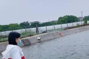 白天也适合女生玩路亚钓鱼（探索白天路亚钓鱼的魅力，让女生也能尽情享受）