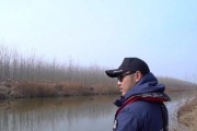 在家小河，也能娱乐路亚钓鱼！（将小河变成你的私人钓鱼场）