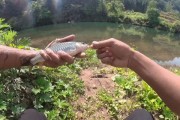 小溪钓鱼，选择路亚还是手竿？（探讨小溪钓鱼的最佳工具和技巧）