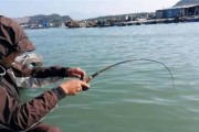 路亚为什么不能挂泥鳅钓鱼？（探究路亚钓鱼方法不适用泥鳅的原因）