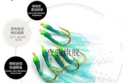 虾皮串钩夜晚路亚钓鱼的技巧与经验分享（夜晚路亚钓鱼，以虾皮串钩为利器，钓获丰收的秘籍揭秘！）