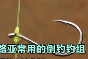 路亚钓鱼技巧（详解路亚钓鱼的绑钩方法与技巧）