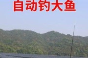 海里钓鱼（钓鱼爱好者应该如何在海上作出选择？）
