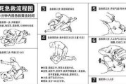 如何防守篮球场上的“恶心人”（有效策略帮你击败对手，掌握比赛主导权）