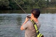 用路亚杆在小河里钓鱼的技巧（探索小河中的宝藏鱼群，尽享河钓乐趣）