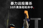 以海竿为工具进行路亚钓鱼的乐趣（探索海竿在路亚钓鱼中的多功能性与便利性）
