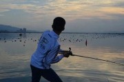 掌握路亚钓鱼技巧，提升你的钓鱼水平（全面解析路亚钓鱼的手法技巧和方法，让你成为高手！）