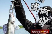 滑漂钓鱼（以路亚为基础，滑漂钓鱼能否成为更好的钓鱼方式？）