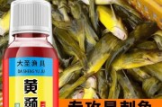探秘路亚钓鱼小药的绝佳搭配（以小药为主打，让你成为路亚大师）