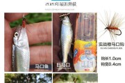 使用路亚瓜子亮片假饵钓鱼的技巧（掌握这些技巧，成为高效钓鱼者！）