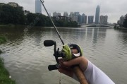 马来西亚钓鱼路亚技巧大揭秘（掌握马来西亚钓鱼路亚，轻松享受钓鱼乐趣）