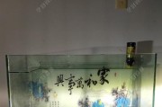 使用路亚竿水滴轮在鱼缸里钓鱼的技巧（探索新颖的室内钓鱼方式，为你带来乐趣与挑战）