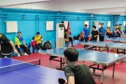 乒乓球32人单循环赛（全国顶尖乒乓球运动员齐聚一堂，展开激烈角逐）