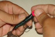 以路亚竿钓鱼技巧与经验分享（成为路亚大师，掌握看上钩的要诀）