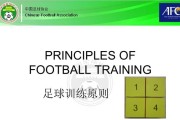 以足球个人训练100个技巧，提升你的球技水平（从零基础到高级球员，打造全面实力）