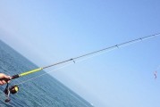 沂河用路亚竿能钓鱼吗？（探究在沂河使用路亚竿的钓鱼效果及技巧）