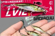 探讨路亚钓鱼的最佳饵料选择（打造高效钓鱼体验，路亚饵料全面解析）