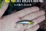 海边路亚钓鱼的最佳饵料选择（探索海鲈鱼、鲈鱼和大马哈鱼的美味佳肴）