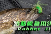 选择台钓还是路亚？新手入门指南（比较两种钓鱼方式，帮助新手做出选择）