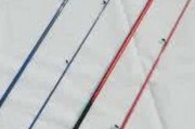 路亚钓鱼中每次抛竿的合适次数与技巧（提高钓鱼效率的关键技巧和注意事项）